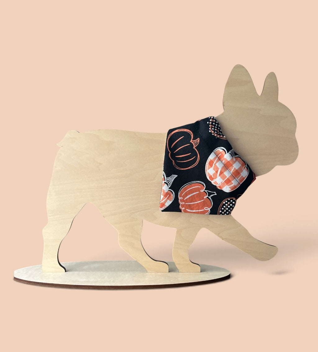 Slide Over The Collar Dog and Cat Bandana, SMALL- Pumpkins