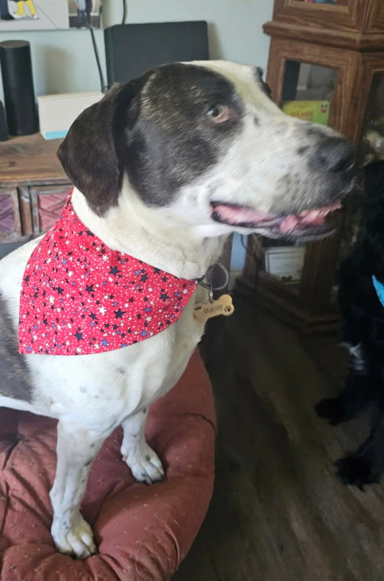 Over The Collar Dog Bandana, LARGE, Red, White, and Blue Stars